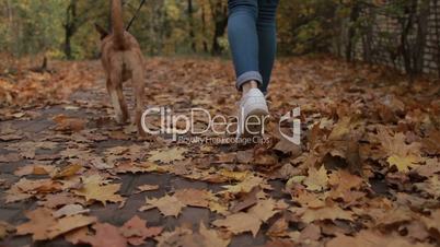 Woman with adorable dog jogging in autumn park