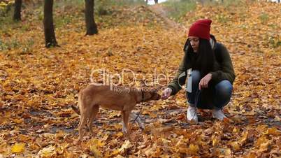 Young woman feeding cute dog in autumn park