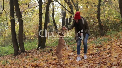 Dog and woman owner playing in autumn park