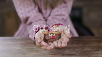 Christmas homemade cookie in child's hands