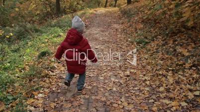 Little toddler boy running in colorful autumn park