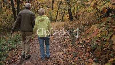 Senior couple enjoys romantic walk in autumn park