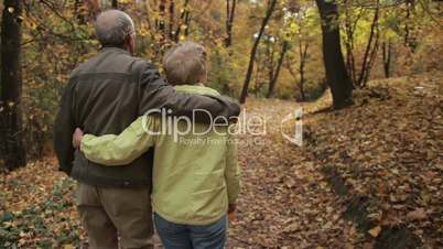 Elderly couple in love embracing in autumn
