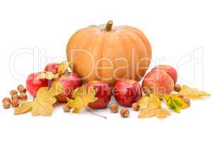 Pumpkin, apples and hazel isolated on white