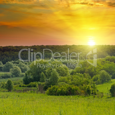 Green fields and a bright sunrise