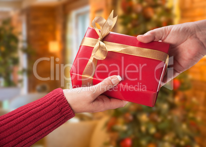 Man and Woman Gift Exchange in Front of Decorated Christmas Tree