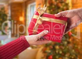 Man and Woman Gift Exchange in Front of Decorated Christmas Tree