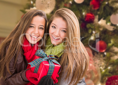 Mixed Race Young Adult Females Holding A Christmas Gift In Front