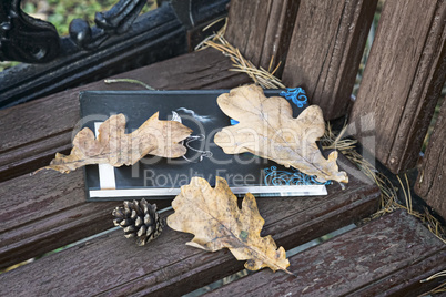 Book and fallen leaves on a Park bench.