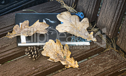 Book and fallen leaves on a Park bench.