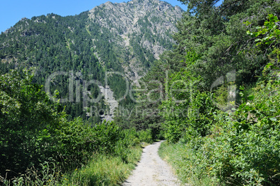 hiking trail through the forest slopes of mountains in summer