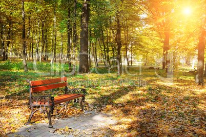 autumn park with paths and benches and sun