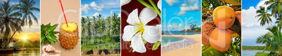 Panoramic view of tropical beaches, palm trees and fruits. Wide