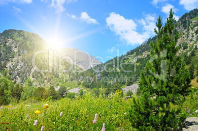 beautiful mountain landscape and sun