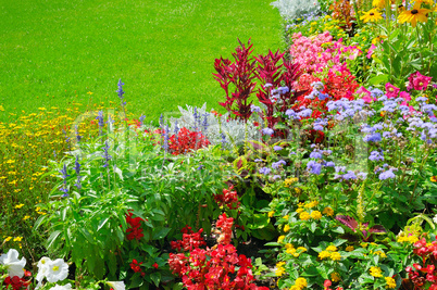 summer flowerbed and green lawn