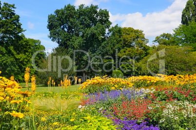 summer park with beautiful flowerbeds