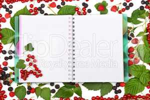 book on the background of currant berries, blackberries and rasp