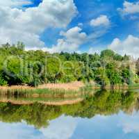 lake, summer forest on the banks and sky