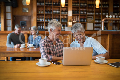 Senior female friends using laptop while couple having tea in background
