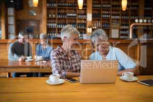 Senior female friends using laptop while couple having tea in background