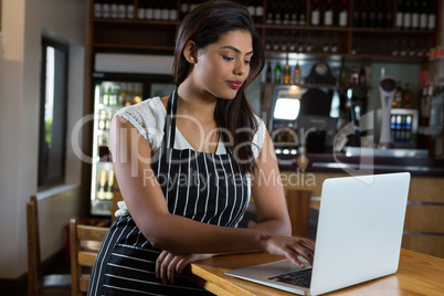 Waitress using laptop in cafe