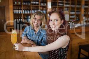 Female friends having cocktail at counter in bar