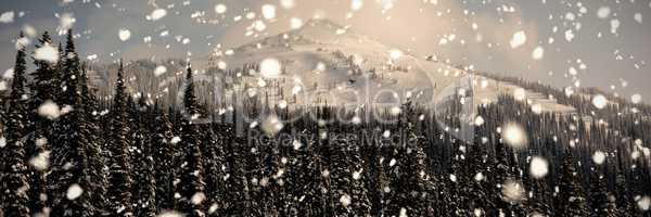 Snow capped mountain with pine trees