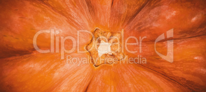 Close up of pumpkin