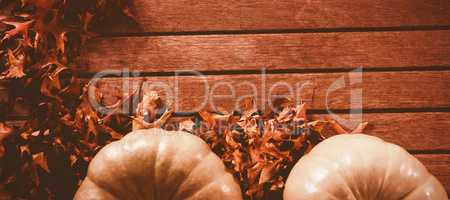 Autumn leaves by pumpkins on table during Halloween