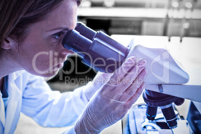 Scientist working in laboratory