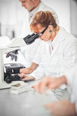 Scientist working on microscope