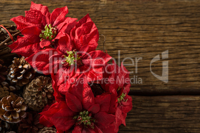 Close up of poinsettia flowers on artificial nest