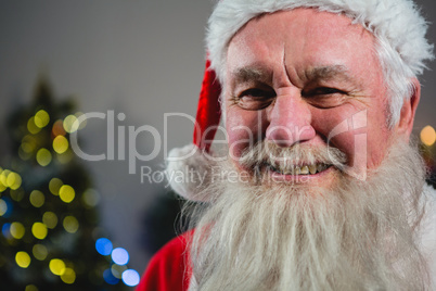 Portrait of smiling Santa Claus