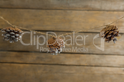 Close up of pine cones hanging on rope