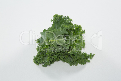 High angle view of fresh green kale