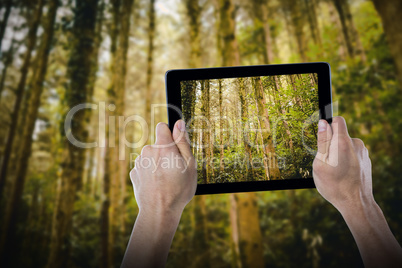 Composite image of cropped hand holding digital tablet