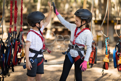 Siblings giving high five to each other in park