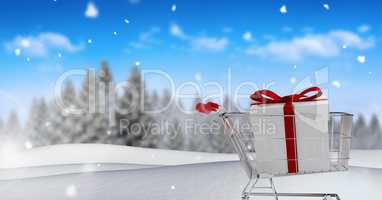 Gift in shopping trolley in Christmas Winter landscape