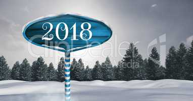 2018 New Year text on Wooden signpost in Christmas Winter landscape