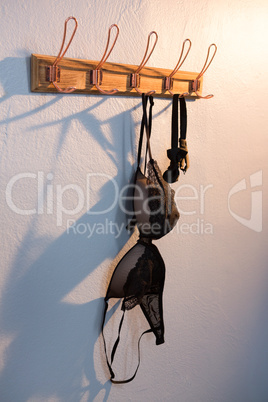Lingerie and bow tie hanging on hook