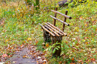 forest path in autumn forest trail in autumn fallen leaves