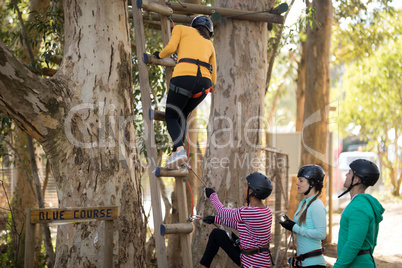 Friends climbing on tree with stairs