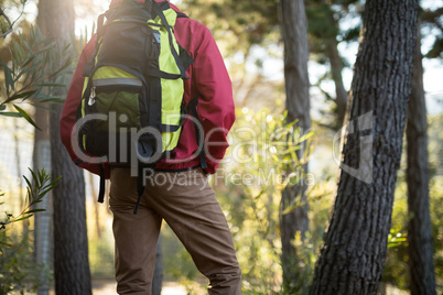 Man standing with backpack in forest