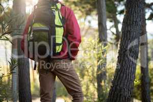 Man standing with backpack in forest