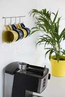 Coffeemaker, pot plant and mugs hanging on hook