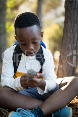 Boy examining pine cone in forest