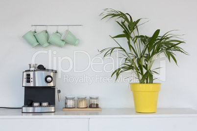 Coffeemaker, pot plant and mugs hanging on hook