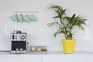Coffeemaker, pot plant and mugs hanging on hook