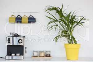 Coffeemaker, pot plant and mugs hanging on hook