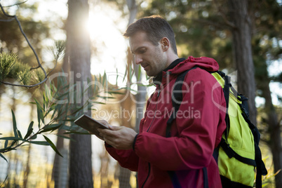 Man using digital tablet in forest